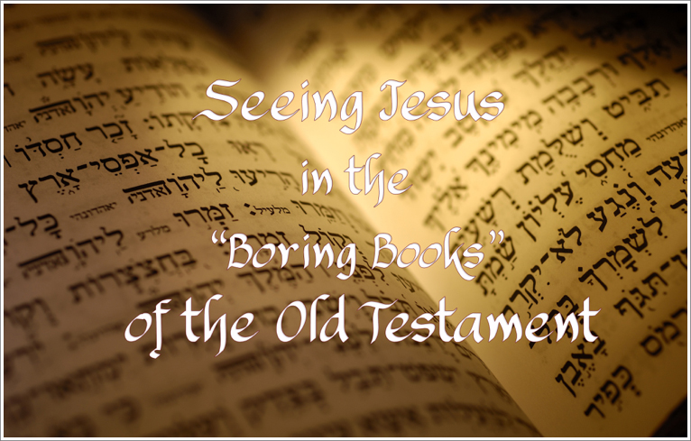 Seeing Jesus in the {4f6d5a01860edea71e2cddf4ba1dbcb75266996bf6347f9684b40f9c49b87809}22Boring Books{4f6d5a01860edea71e2cddf4ba1dbcb75266996bf6347f9684b40f9c49b87809}22 of the Old Testament Sermon Series - Seeing Jesus in the {4f6d5a01860edea71e2cddf4ba1dbcb75266996bf6347f9684b40f9c49b87809}22Boring Books{4f6d5a01860edea71e2cddf4ba1dbcb75266996bf6347f9684b40f9c49b87809}22 of the Old Testament